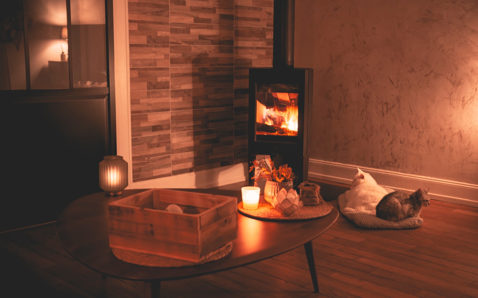 a cat laying on a pillow in front of a fireplace