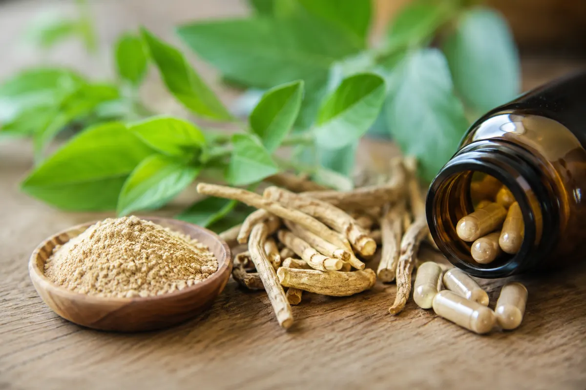 ashwagandha et trouble anxieux généralisé